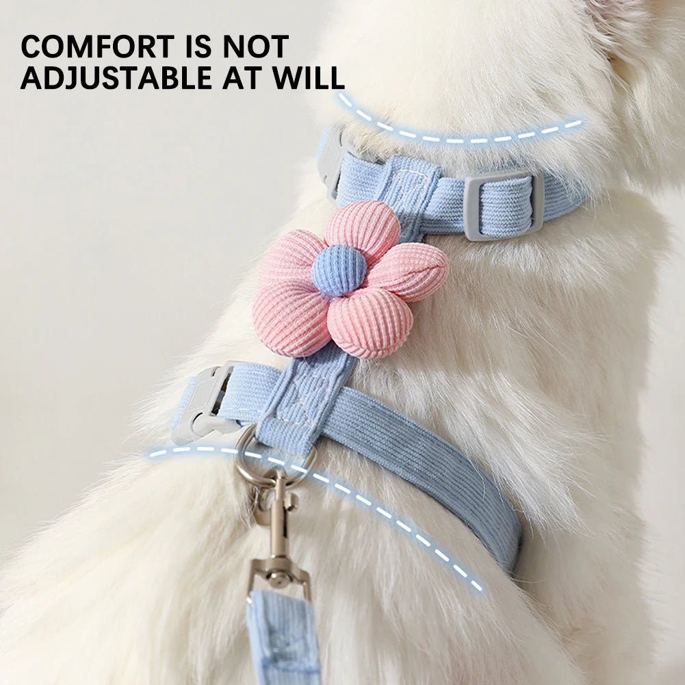 Multifunctional Pet Leash For Outdoor Pet