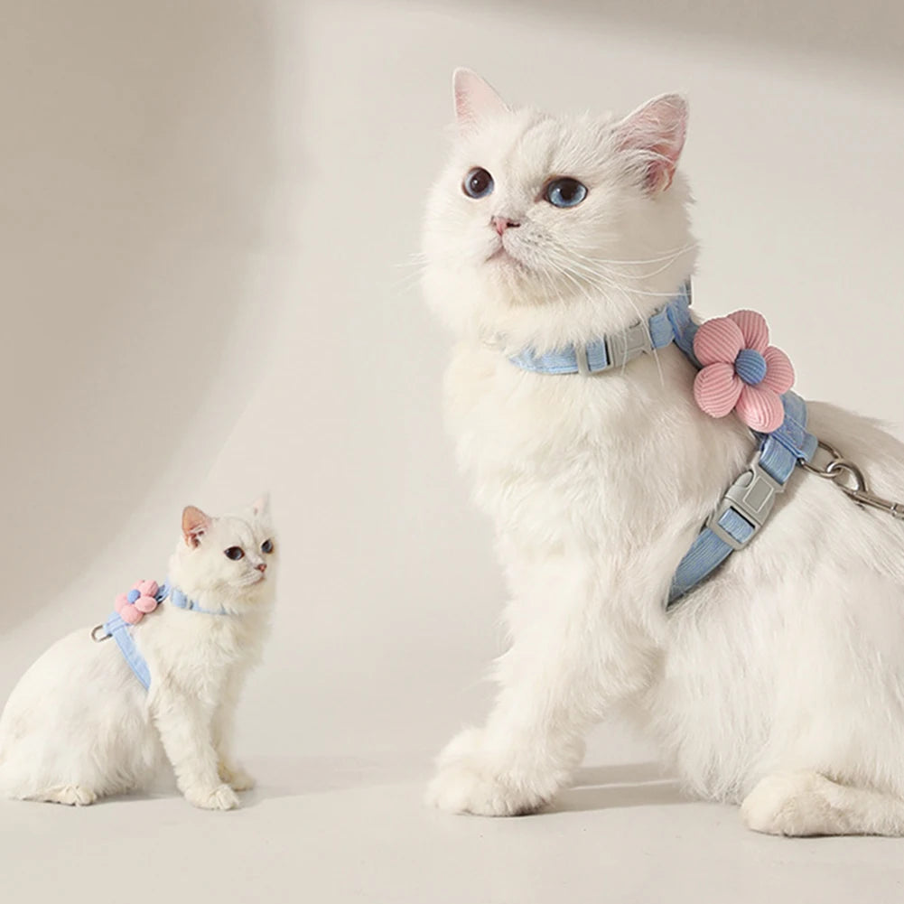 Multifunctional Pet Leash For Outdoor Pet