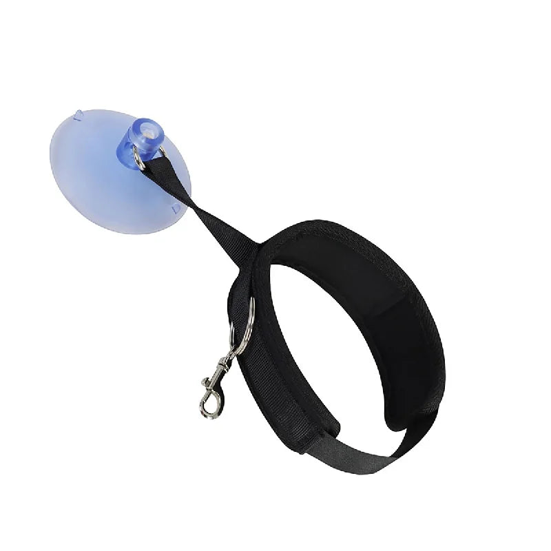 Pet Shower Fixed Collar Cat Dog Beauty Bath Traction Belt